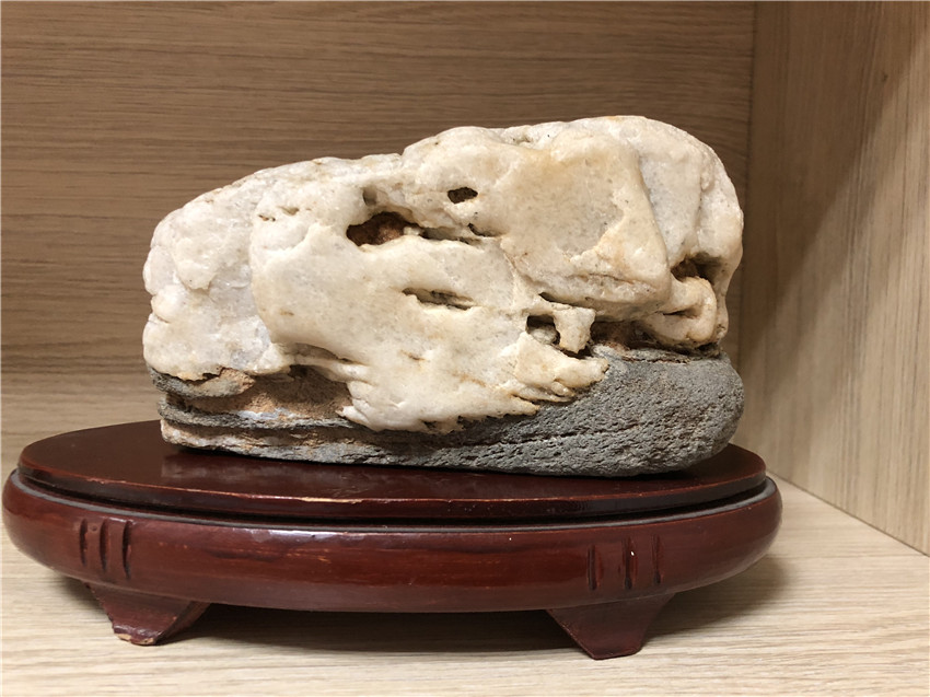 收藏的奇石.jpg 收藏的奇石.jpg