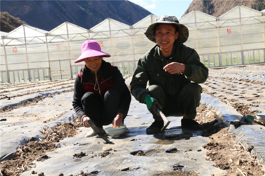 仁乃村.jpg 仁乃村.jpg